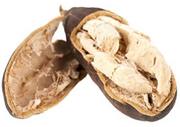 バオバブオイル